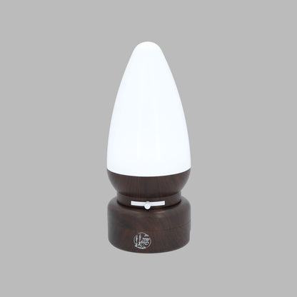 SHALHEVET LIGHT Kosher Shabbat Lamp LED with Dimmer, USB Charge, Safe (Oak)
