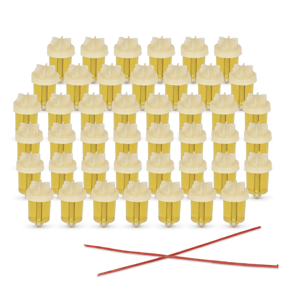 Vehaer Chabad Chanukah Oil 36 Prefilled Cups + 8 Beeswax Shamashim, Hanukkah, Chanukah Olive Oil, Ready to Use, Fits Most Menorah (Chabad 36 + 8), 2.5 Hour Burn