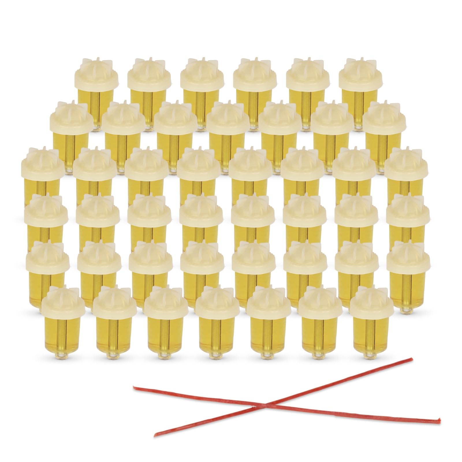 Vehaer Chabad Chanukah Oil 36 Prefilled Cups + 8 Beeswax Shamashim, Hanukkah, Chanukah Olive Oil, Ready to Use, Fits Most Menorah (Chabad 36 + 8), 2.5 Hour Burn