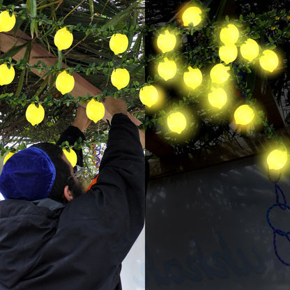 1 Pcs Sukkot 3D Etrog LED String Lights Battery Operated Light String 9.8ft 20leds Etrog Light Bulbs with Branches Leaves Fairy Lights Sukkot Decorations for Sukkah Garden Party Decorations