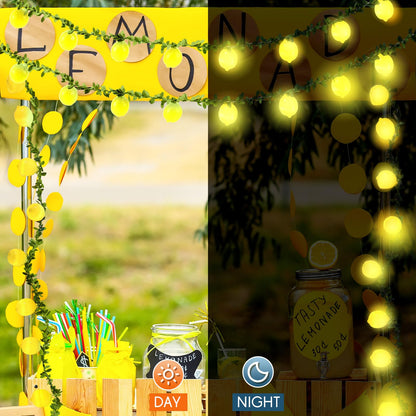 1 Pcs Sukkot 3D Etrog LED String Lights Battery Operated Light String 9.8ft 20leds Etrog Light Bulbs with Branches Leaves Fairy Lights Sukkot Decorations for Sukkah Garden Party Decorations